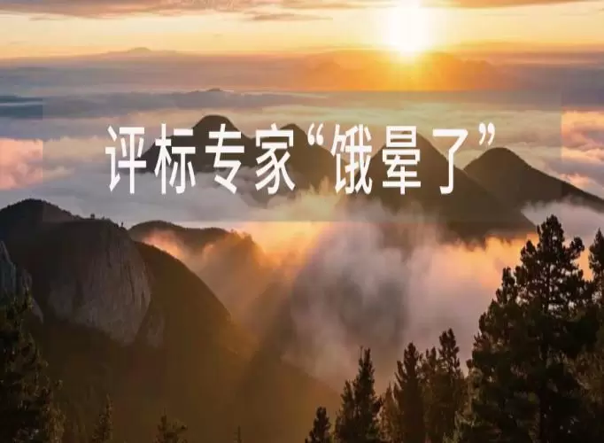 青海4名评标专家&ldquo;饿晕&rdquo;真相：系统调试耗时过长，专家空等近4小时